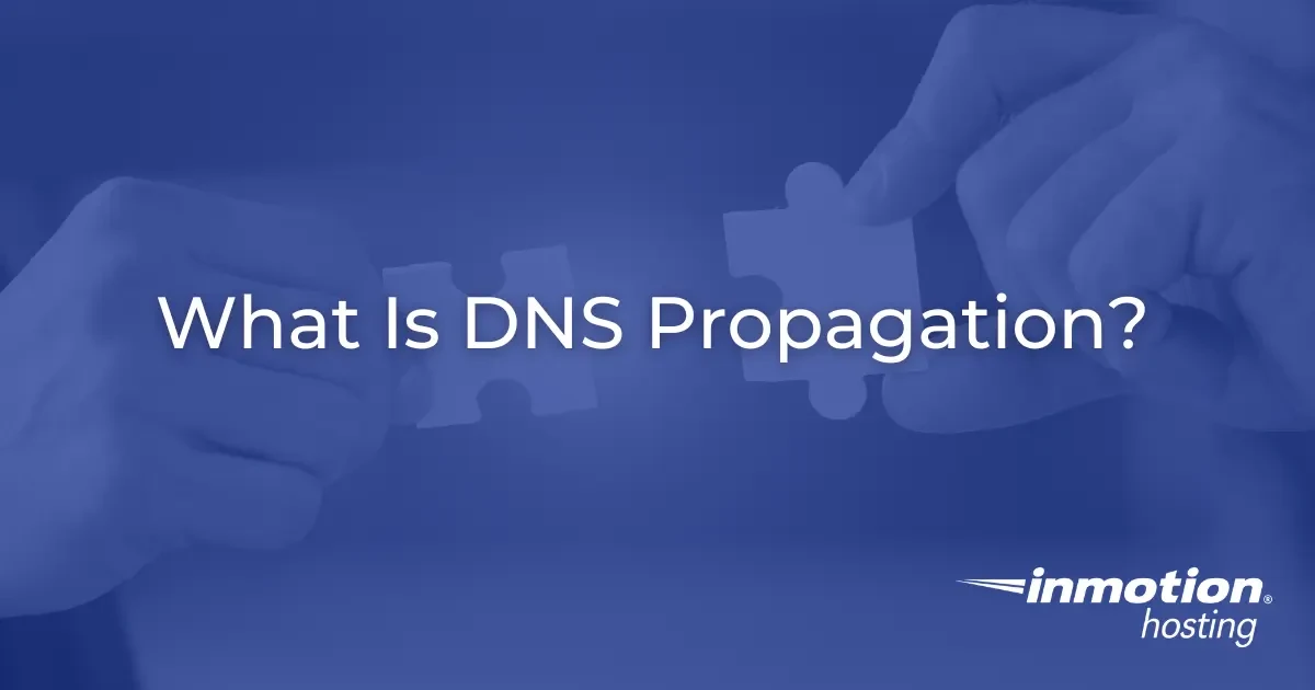 DNS-пропагация: что это и как избежать простоев сайта для бизнеса